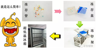 樣本凍存解決方案之凍存架、凍存盒、凍存管