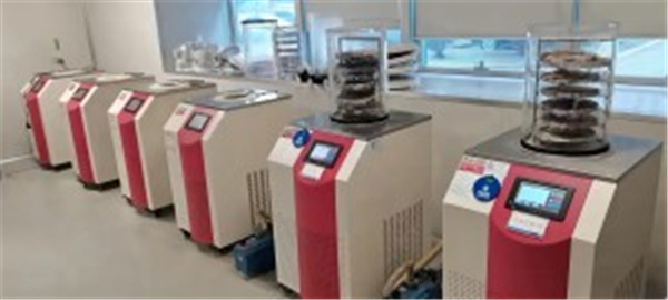低溫冷凍干燥機在化學合成領域中的應用有哪些優(yōu)勢？