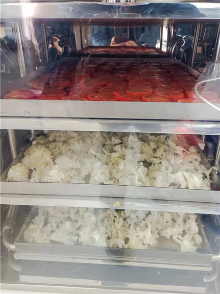 如何使用冷凍干燥機能延長其使用壽命？