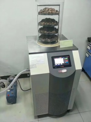 實驗室凍干機(jī)2.jpg
